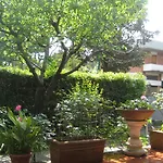 Feltran Forte dei Marmi